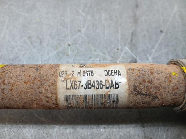 LX673B436DAB купить Черновцы