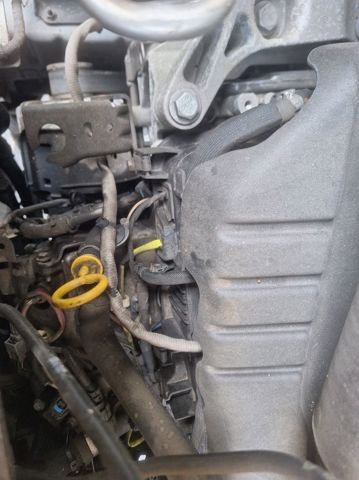 Motor montado Renault Trafic 3 EG