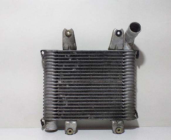 Radiador de intercooler KIA Carnival 2 GQ