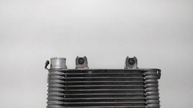 Radiador de intercooler KIA Carnival 2 GQ