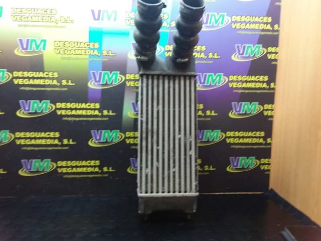 Tampa da polia do alternador PA66GF35 PEUGEOT