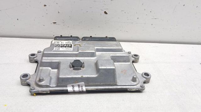 PAJ918881 купить Черновцы