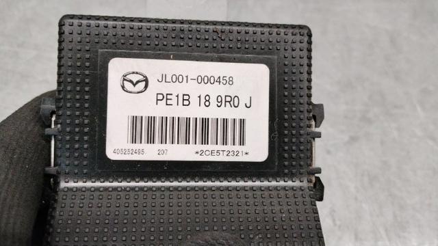 PE1B189R0 купить Днепр