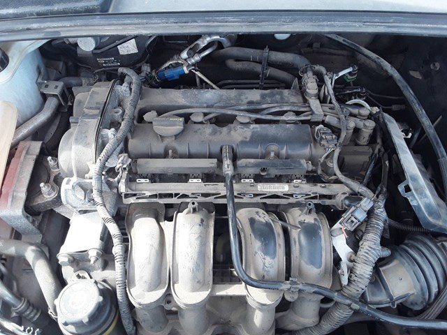 FORD PNDA Двигатель в наличии Сумы
