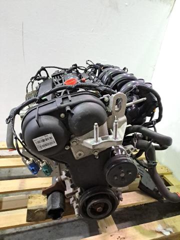 FORD PNDD Двигатель в сборе в наличии Житомир