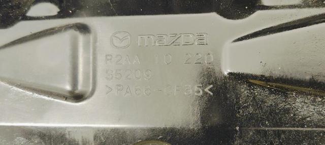 R2AA10220 купить Днепр
