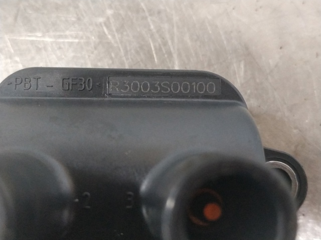 R3003S00100 RENAULT купить в Хмельницкий