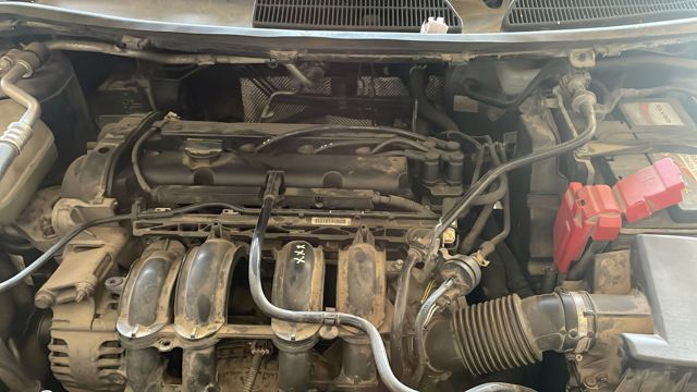 STJB FORD Двигатель в сборе купить в Николаев