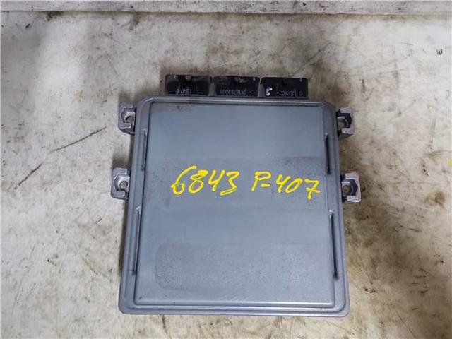 SW9658198080 PEUGEOT купить в Павлоград