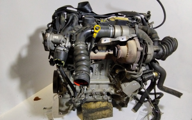 Motor montado T1DB Ford