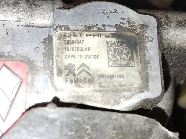T7DB FORD Двигатель купить в Павлоград