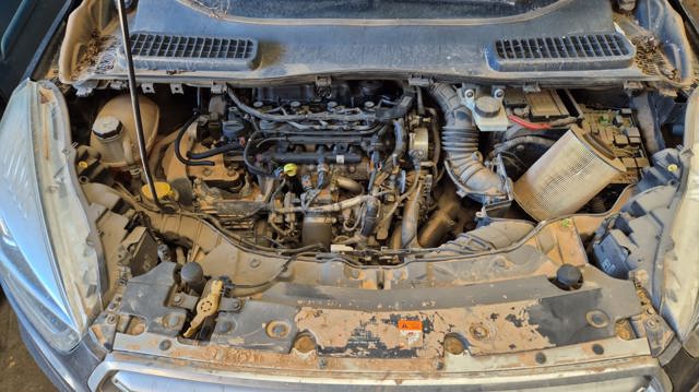 FORD T7MA Двигатель в сборе в наличии Полтава