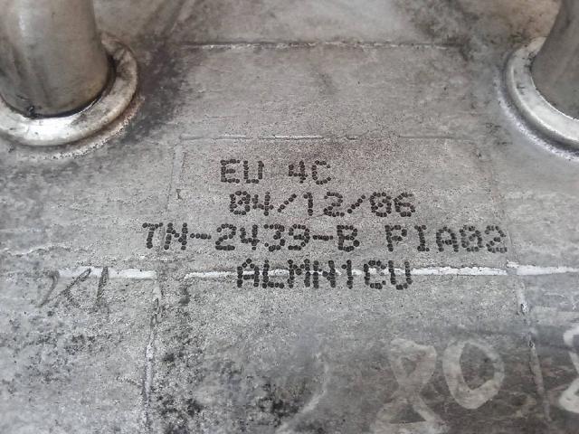 TN2439B купить Чернигов