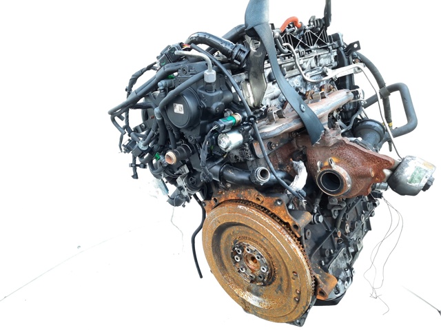 FORD TXBA Двигатель в сборе в наличии Сумы