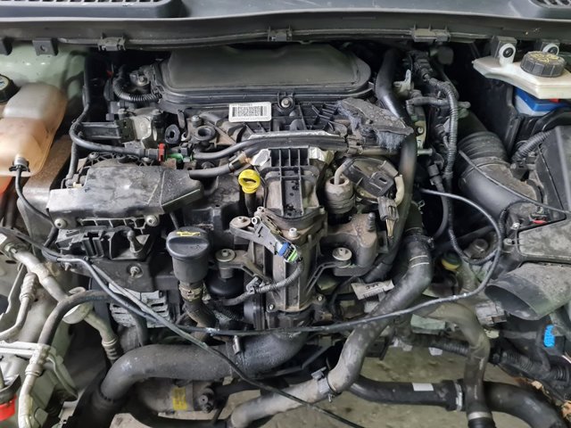 FORD TXMA Двигатель в наличии Украина