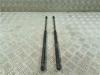 Amortecedor da capota XR8316C826AA JAGUAR
