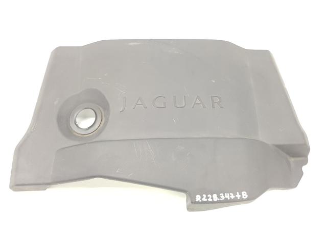 XR849178 Jaguar