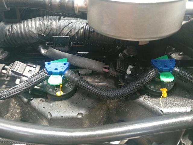 Motor montado Ford C-Max CB7