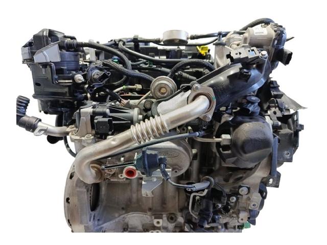 XWDB FORD Двигатель в сборе купить в Украина
