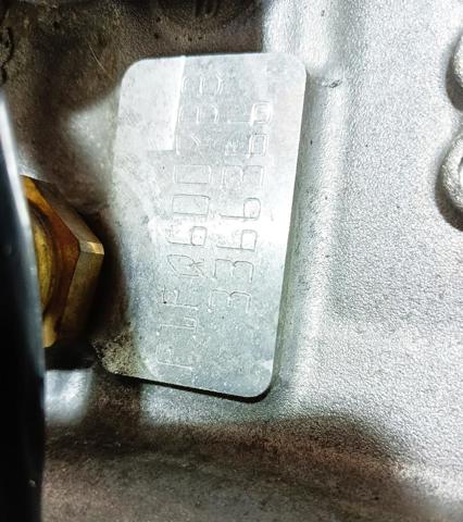XXDC FORD Двигатель в сборе купить в Сумы