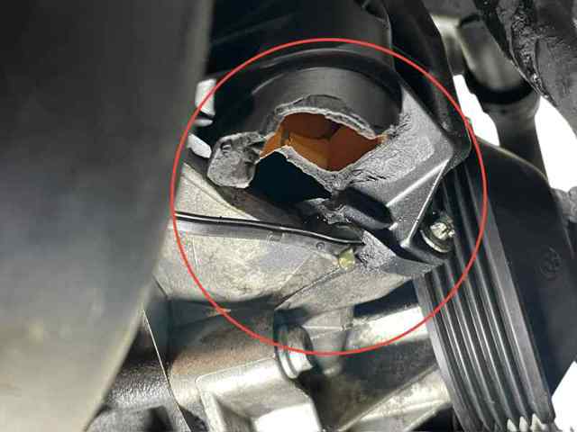 Y25DT OPEL Двигатель в сборе купить в Николаев