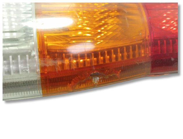 FORD YC1X13434A в наличии Винница