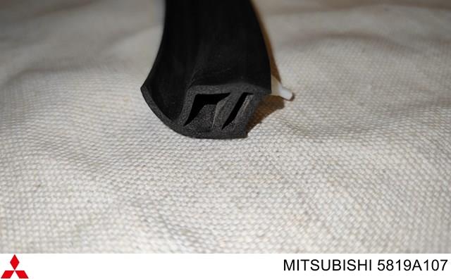 MITSUBISHI 5819A107 в наличии Украина