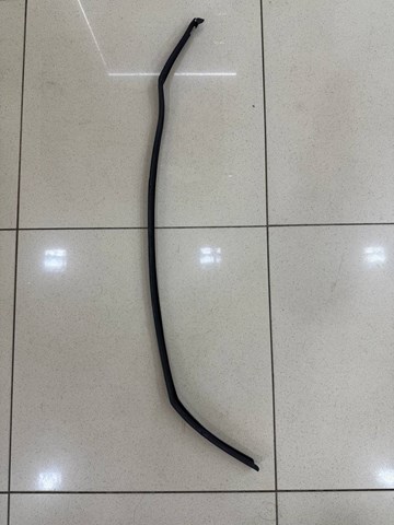 51767318509 BMW Уплотнитель двери задней левой (на двери) купить в Тернополь