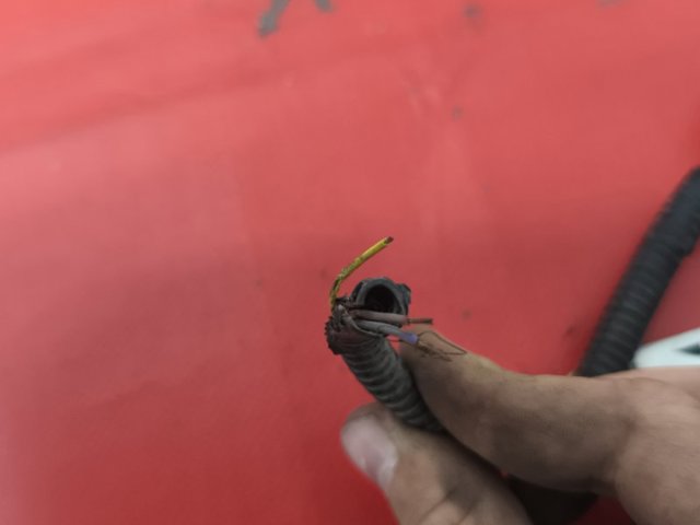 106795800E TESLA купить в Чернигов
