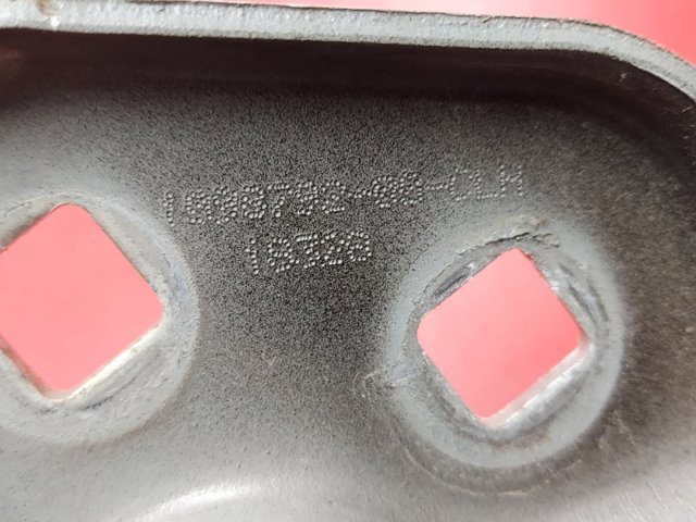 TESLA 109879200 Петля капота левая в наличии Сумы