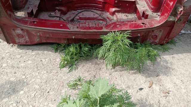 Задняя панель багажника 95550130301GRV PORSCHE