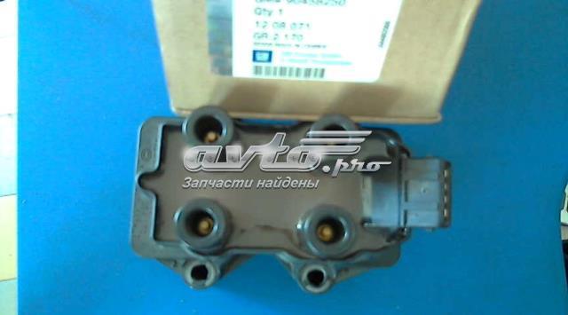 GM 1208071 Катушка зажигания в наличии Кривой Рог