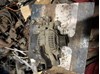 Автомобильный генератор 0123120001 BOSCH