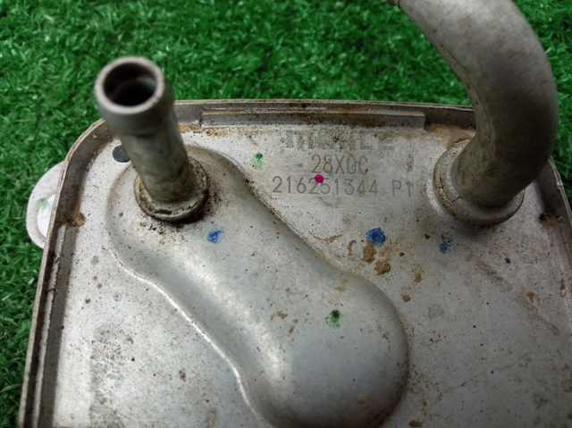 2160628X0C NISSAN Радиатор охлаждения, АКПП/КПП купить в Черновцы