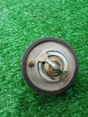 Авто термостат Ford Focus 1