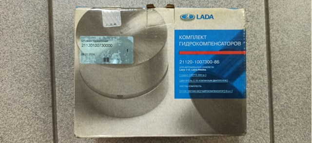 21120100730086 Lada