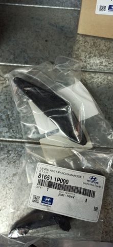 HYUNDAI 816511P000 в наличии Кривой Рог