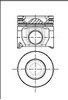 Поршня на 1 цилиндр, STD 8743360000 NURAL