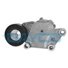 Натяжитель клинового ремня APV1076 DAYCO