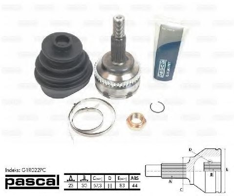 Шарнир привода наружный G1R022PC PASCAL