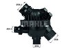 Термостатический элемент TM1497 MAHLE