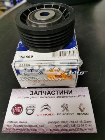55569 RUVILLE Ролик натяжителя приводного ремня купить в Днепр