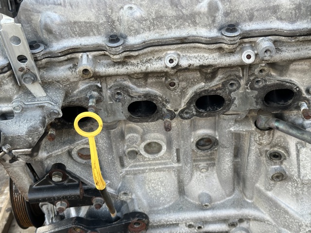 101022F1SB NISSAN Двигатель в сборе купить в Киев