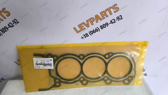 Левая прокладка головки блока цилиндров  223113L300 HYUNDAI