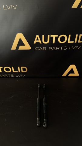 51237419387 BMW Амортизатор капота купить в Киев