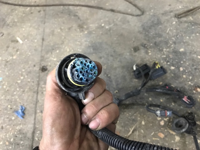 12537599378 BMW купить в Черновцы