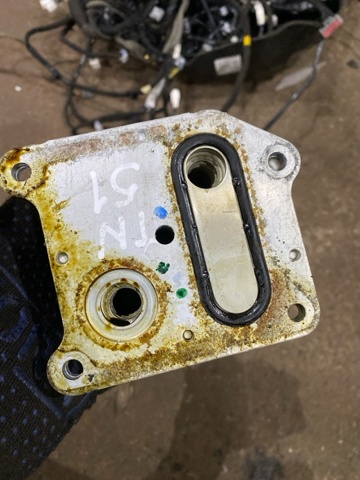 213055NA1A NISSAN Масляный радиатор купить в Чернигов