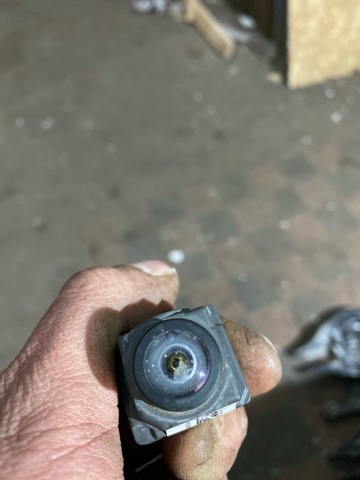 31445951 VOLVO Камера системы обеспечения видимости купить в Ровно