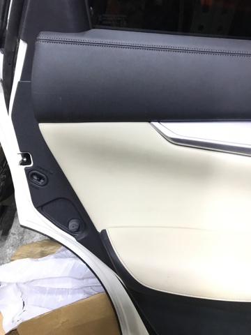 NISSAN 829A15NE0A Обшивка (облицовка) внутренняя двери задней левой в наличии Ровно