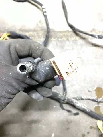 95B971145Q PORSCHE купить в Запорожье